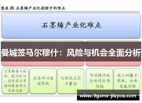 曼城签马尔穆什：风险与机会全面分析